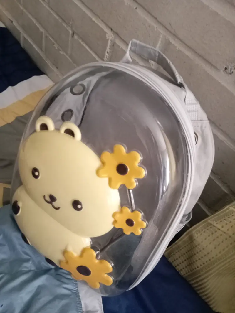 Mochila infantil transparente con diseño de oso - 1