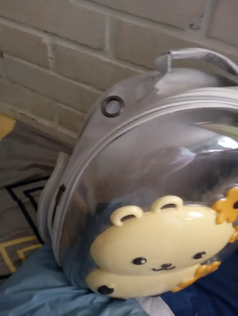 Mochila infantil transparente con diseño de oso - 2