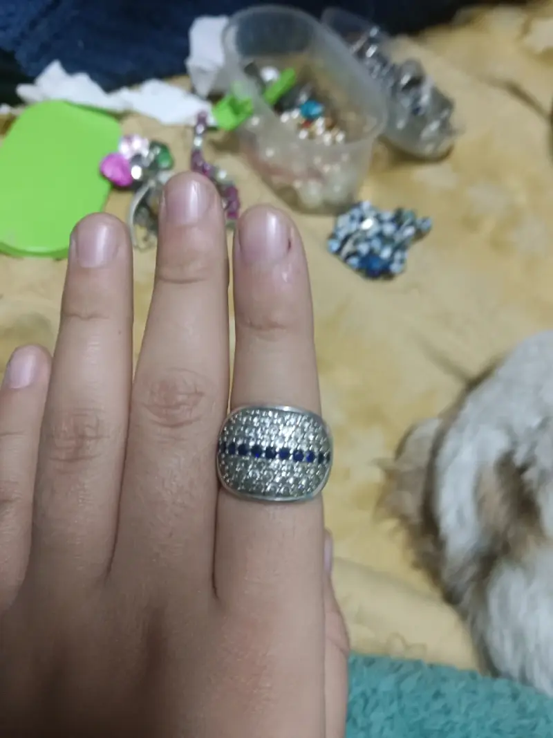 Anillo de plata con incrustaciones brillantes - 1