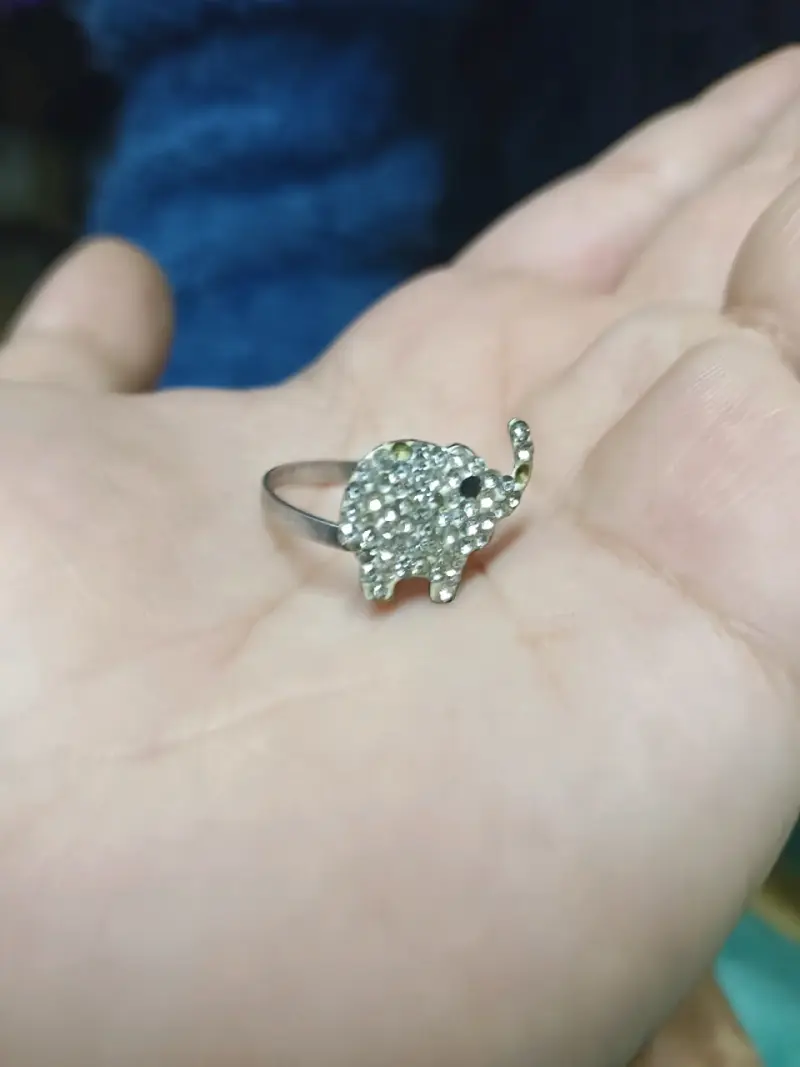 Anillo de plata con diseño de elefante - 2