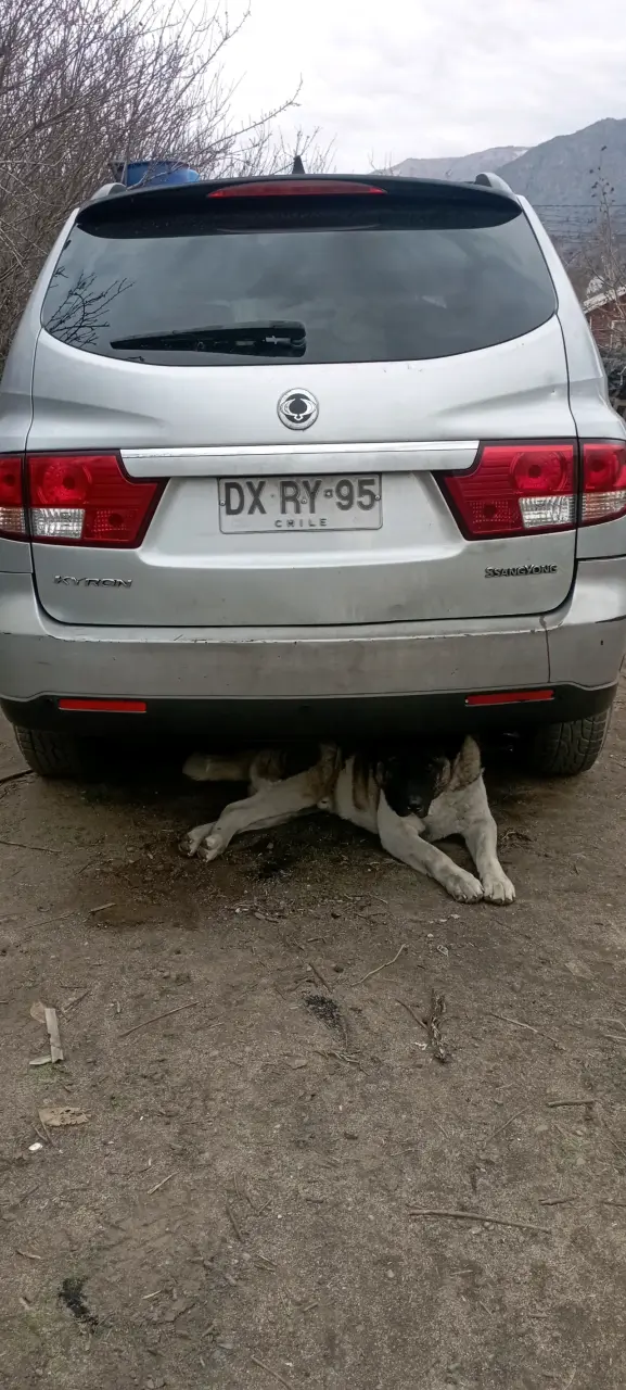SUV SsangYong plateado en buen estado - 2