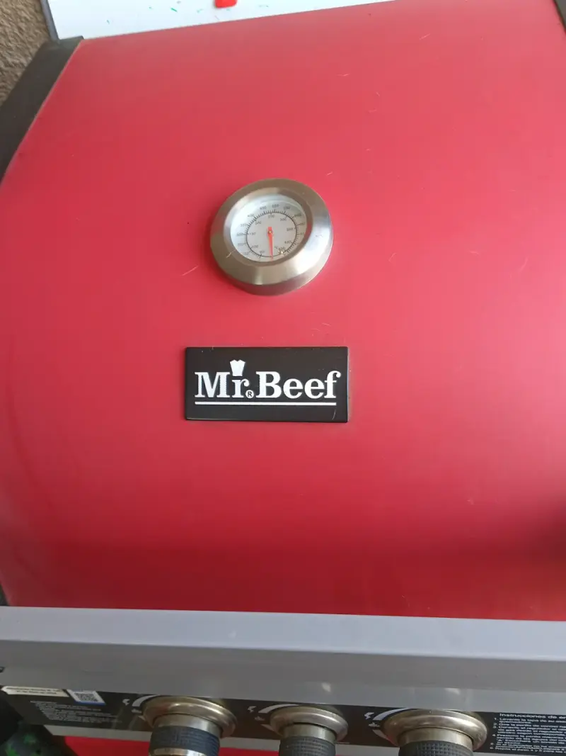 Parrilla a gas con quemador lateral roja - 2