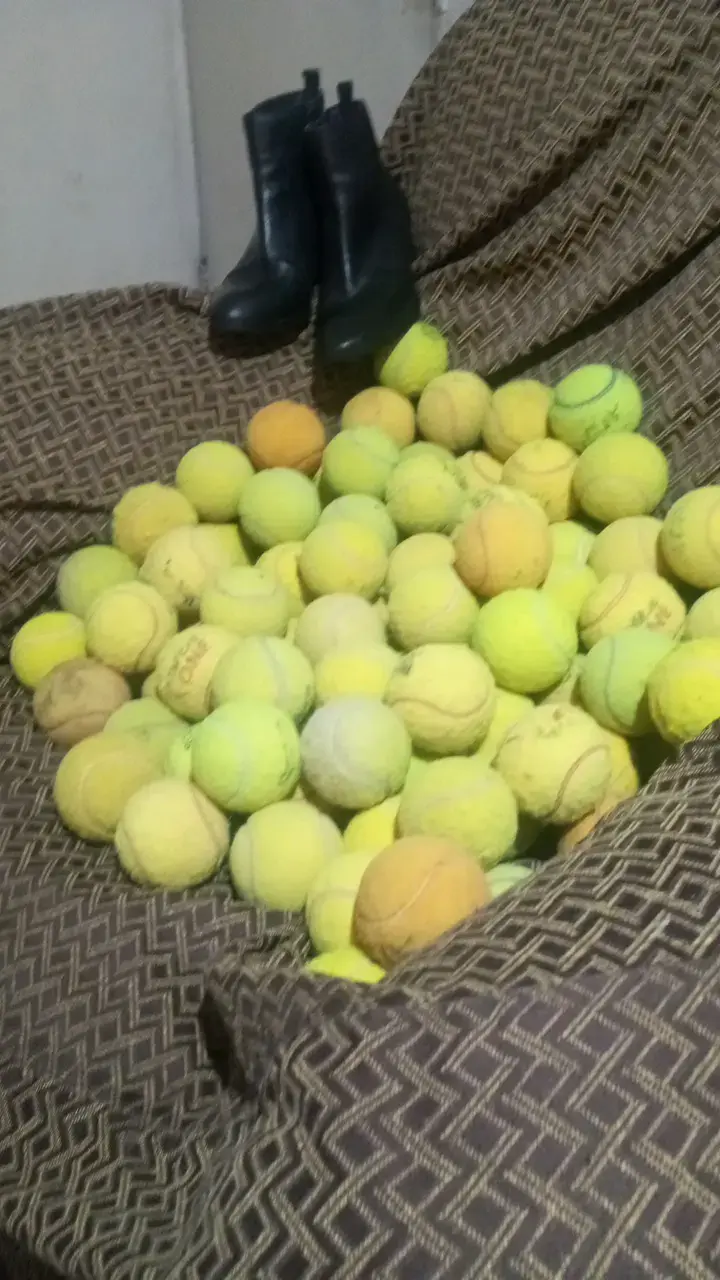 Pelotas de tenis segunda mano en buen estado