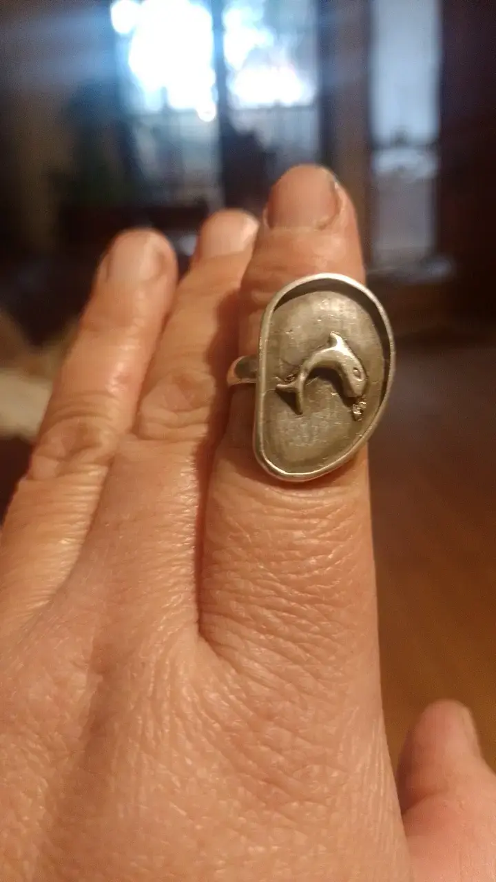 Anillo de plata con diseño de delfín - 1
