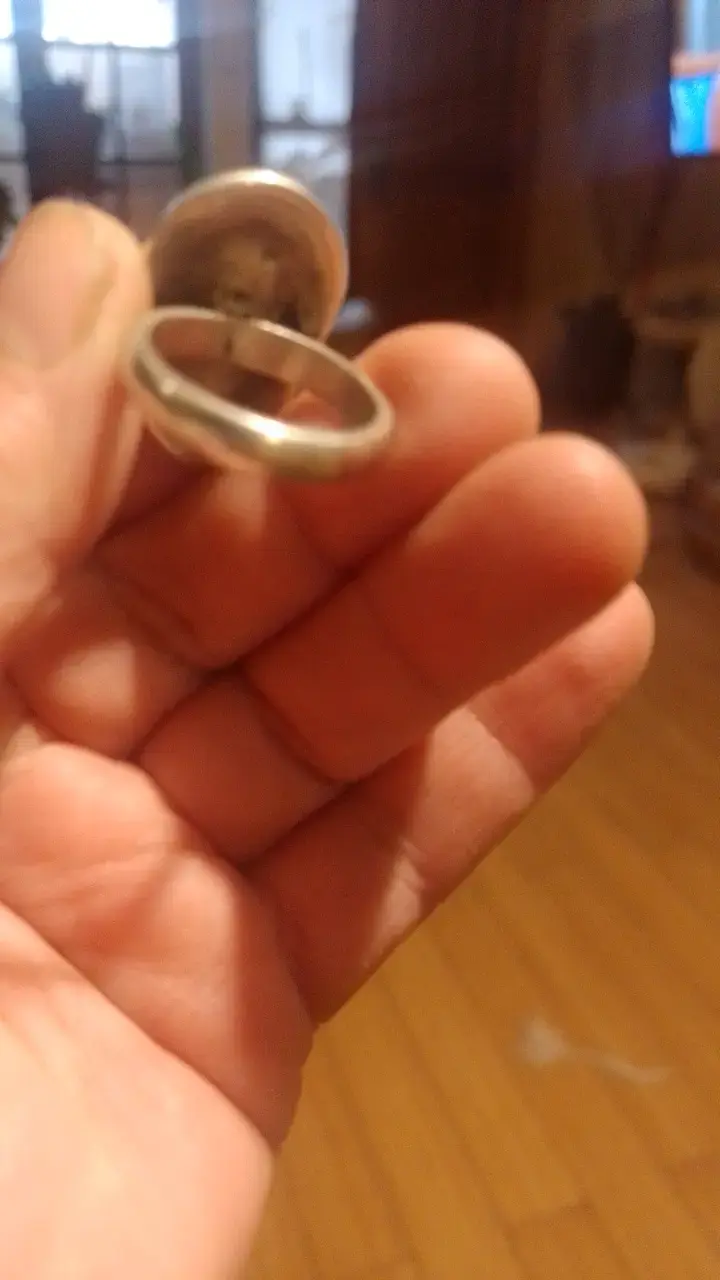 Anillo de plata con diseño de delfín - 2