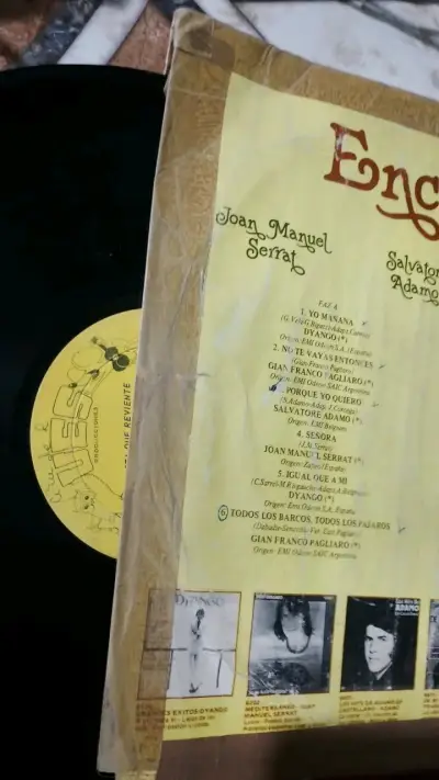 Lote de vinilos todo tipo de música - miniatura 1