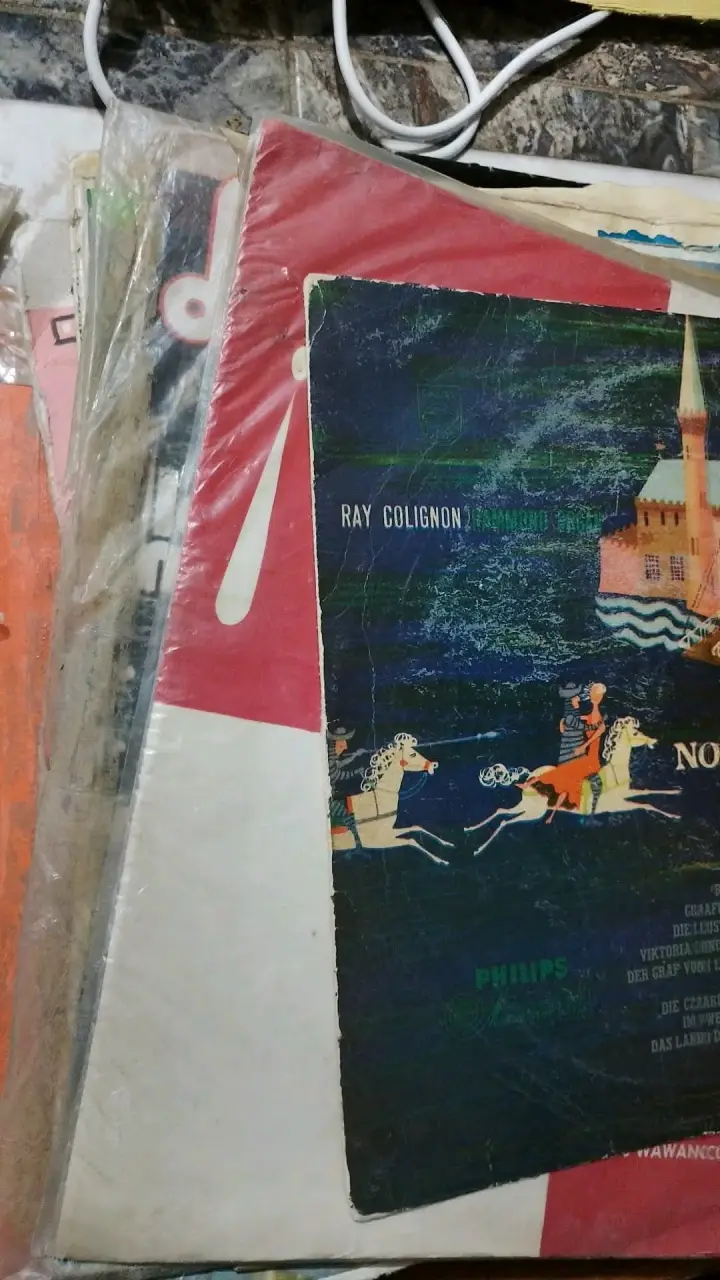 Lote de vinilos todo tipo de música - 3