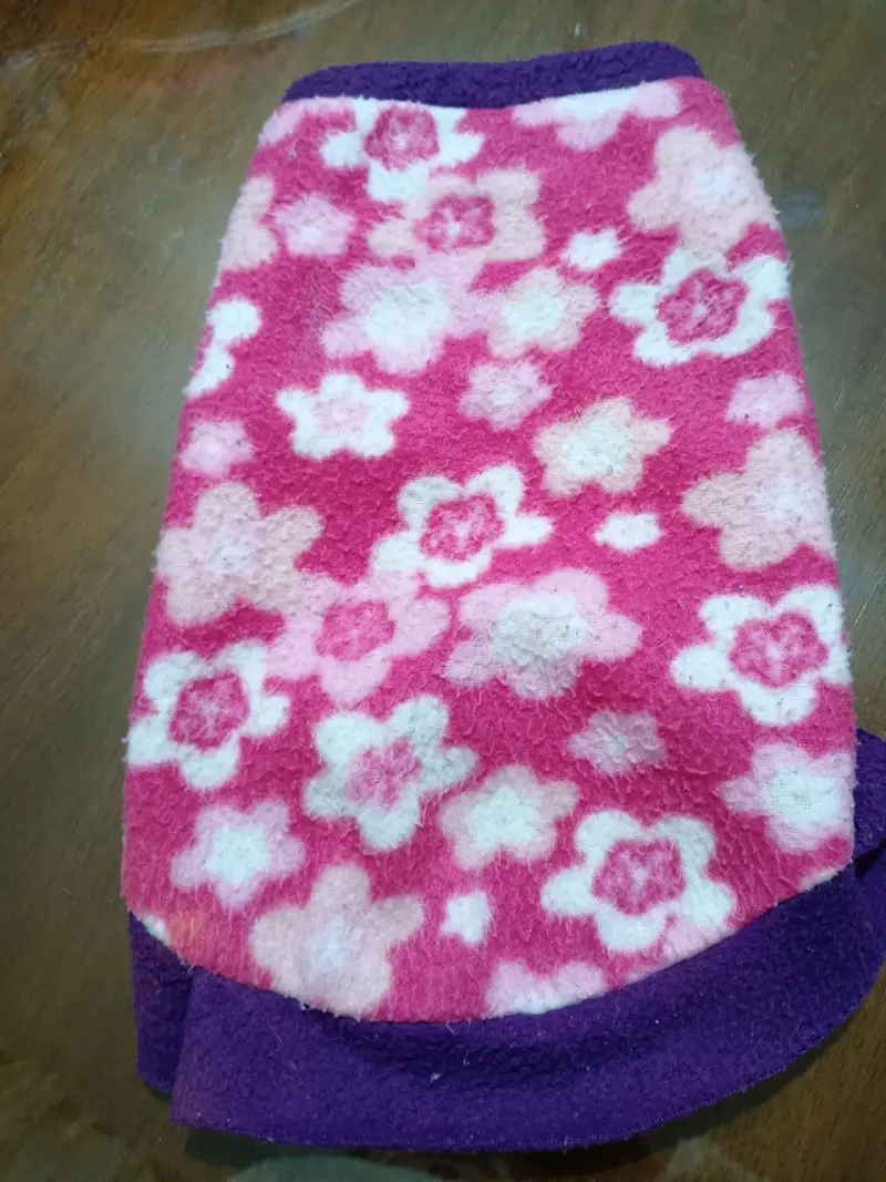 Ropa para perritas razas pequeñas - 2