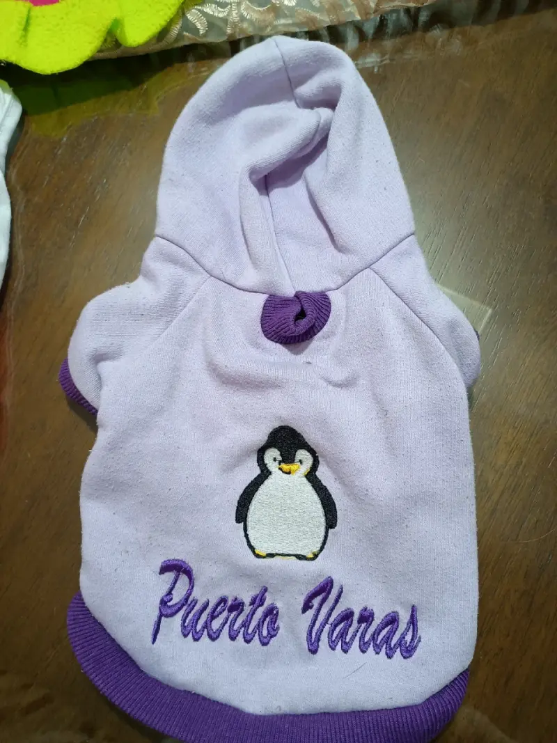 Ropa para perritas razas pequeñas - 4