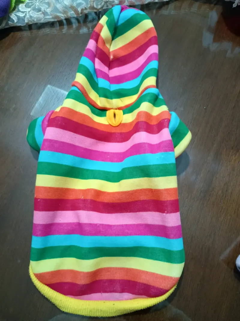 Ropa para perritas razas pequeñas - 5