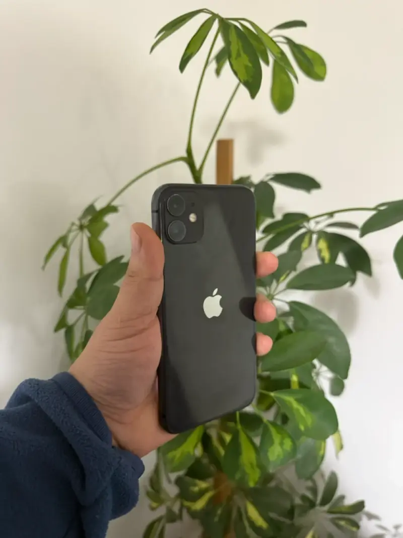 iPhone 11 89 batería - 2