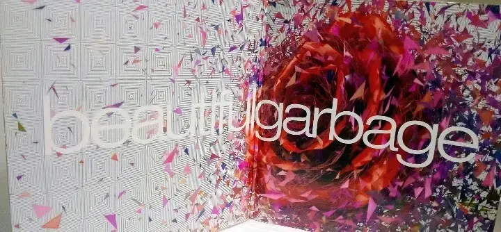 Vinilo Beautiful Garbage edición doble LP - 4