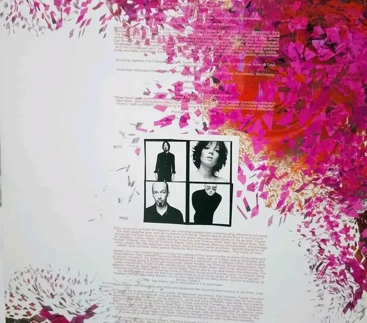Vinilo Beautiful Garbage edición doble LP - 5