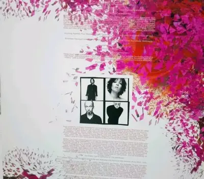 Vinilo Beautiful Garbage edición doble LP - miniatura 5