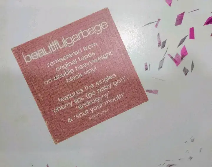 Vinilo Beautiful Garbage edición doble LP - 6