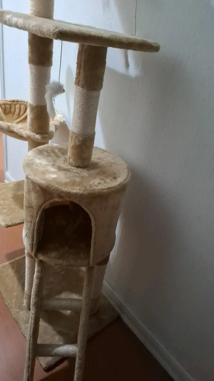 Árbol rascador para gatos beige con juguetes - 3