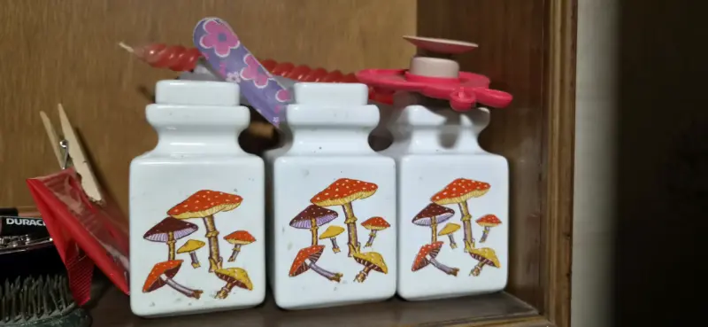 Set de frascos decorativos con hongos