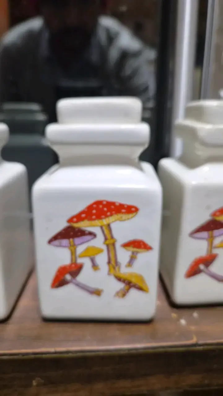Set de frascos vintage con diseño de hongos - 2