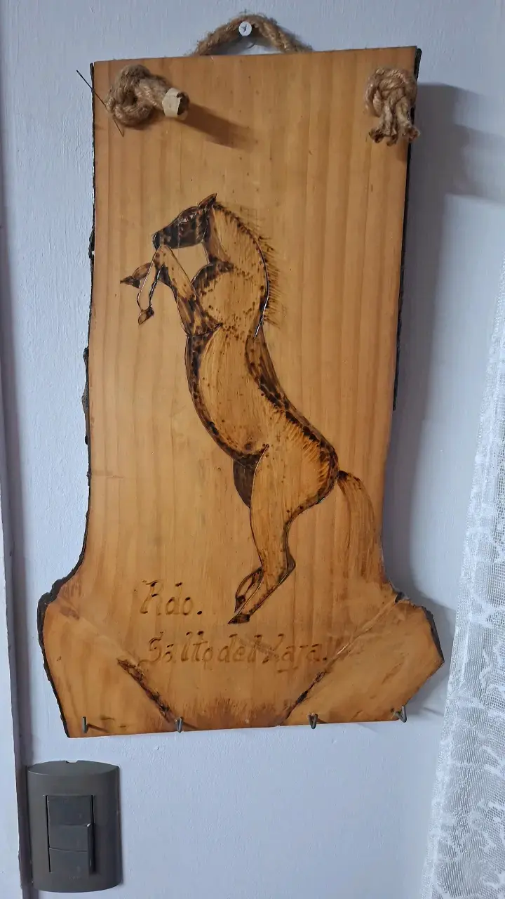 Cuadro de madera con grabado de caballo