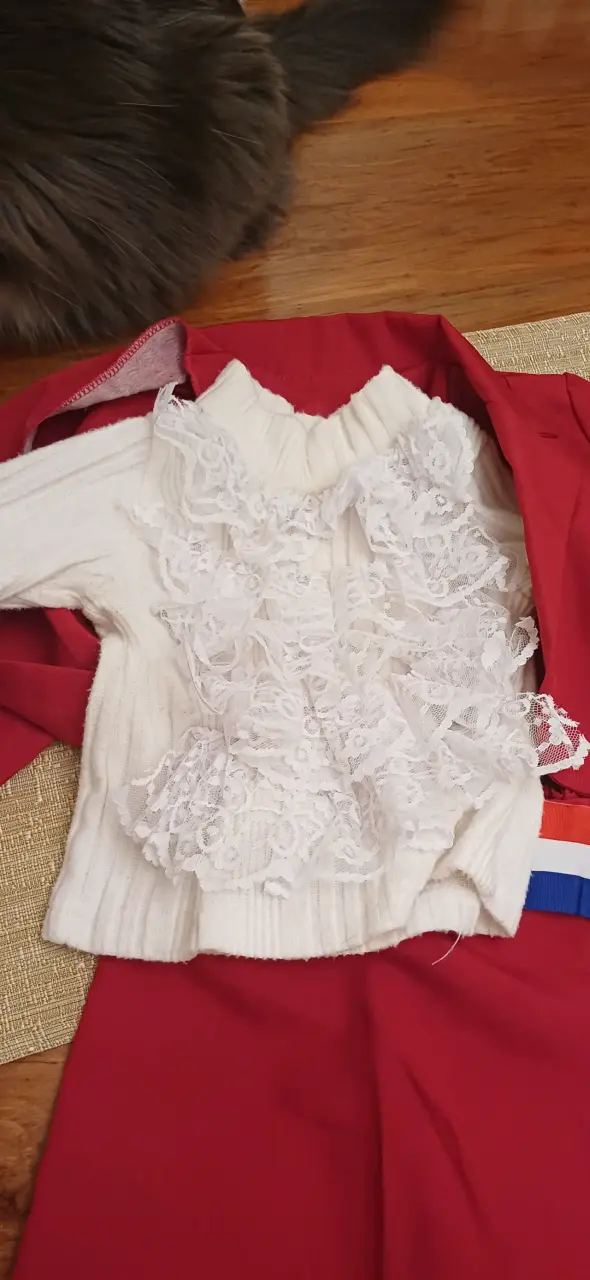 Traje de huasa elegante - 5