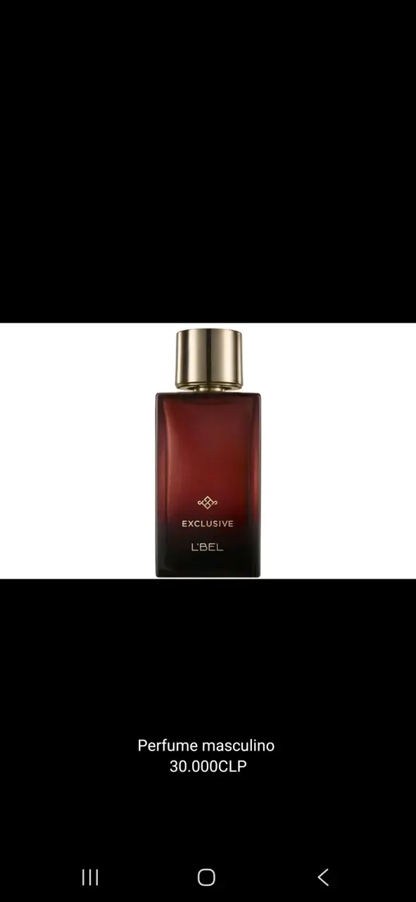 Perfume masculino L'Bel Exclusive