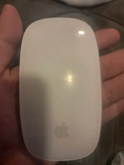 Mouse inalámbrico Apple Magic Mouse blanco - miniatura 1
