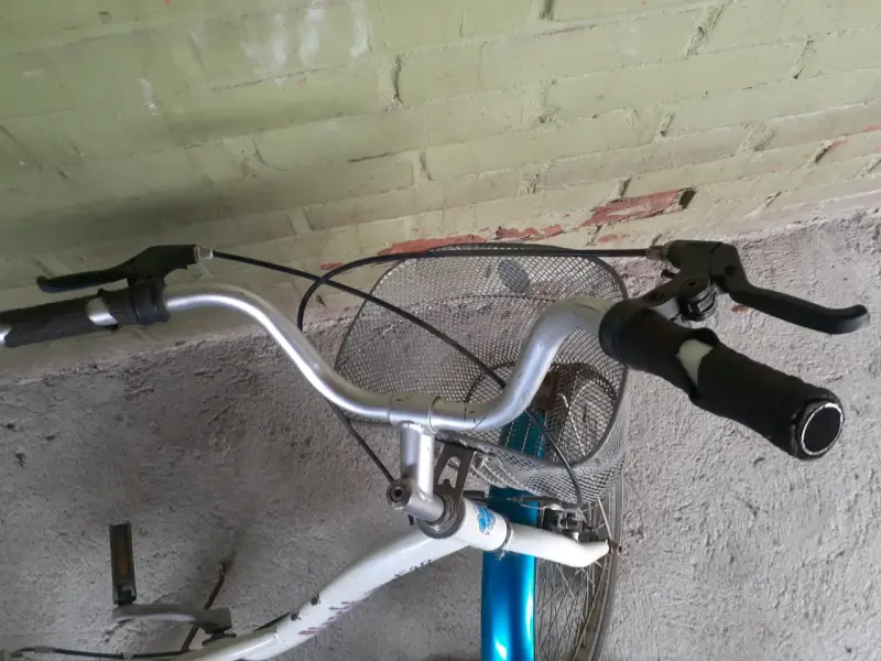 Bicicleta Bianchi Street 20 para niños - 2