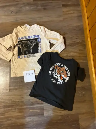 Pack de poleras infantiles con diseño de dinosaurio y tigre - miniatura 1