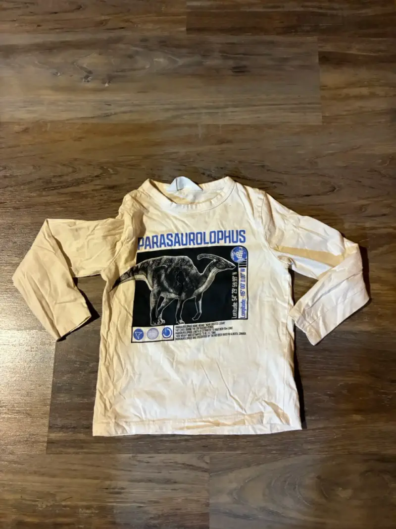 Pack de poleras infantiles con diseño de dinosaurio y tigre - 2
