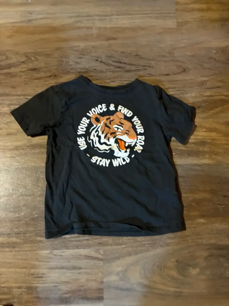 Pack de poleras infantiles con diseño de dinosaurio y tigre - 3