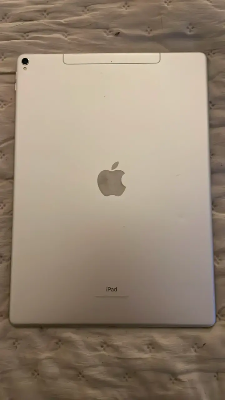 iPad pro 2da gen 256gb - 1
