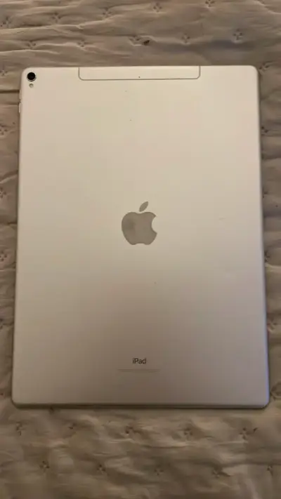 iPad pro 2da gen 256gb - miniatura 1