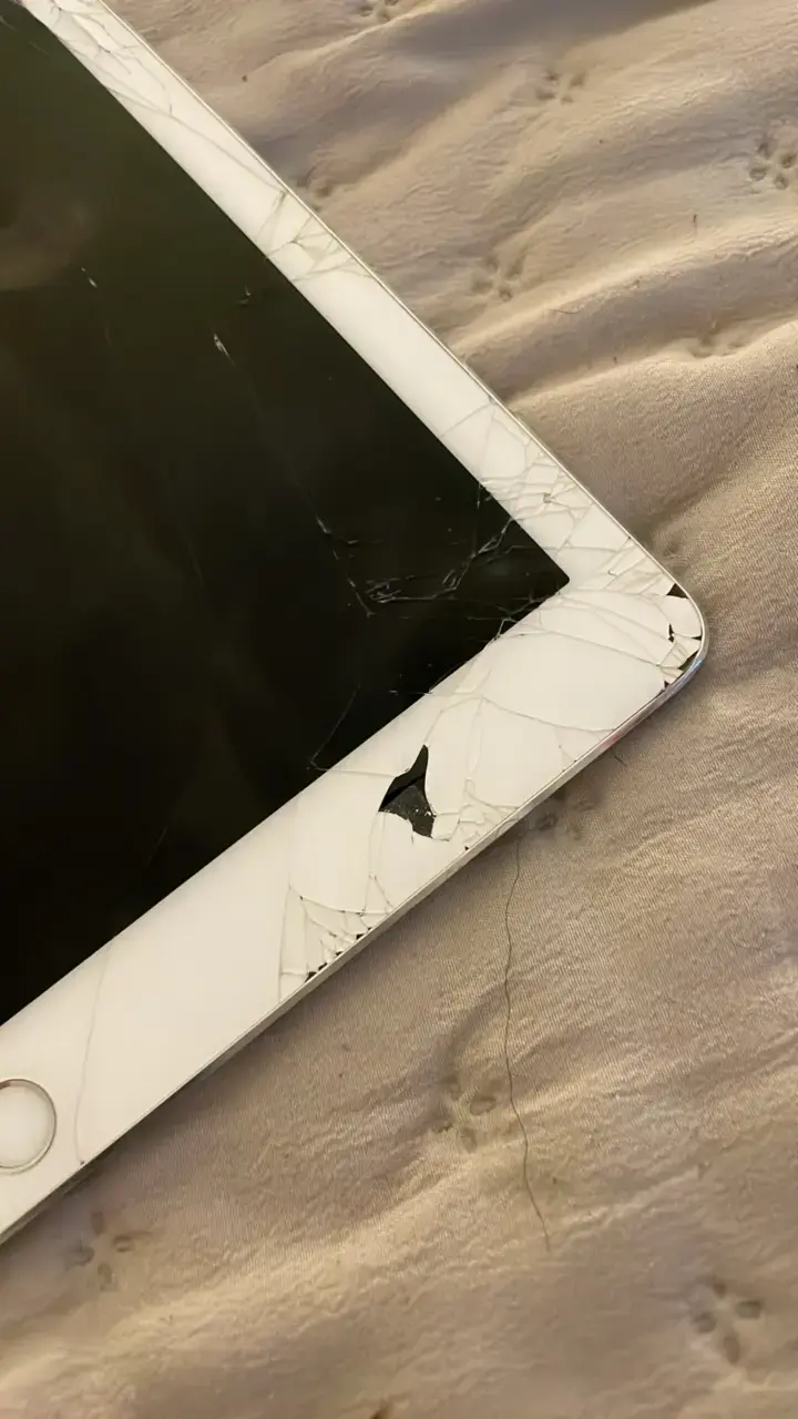iPad pro 2da gen 256gb - 2
