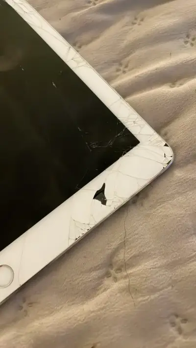 iPad pro 2da gen 256gb - miniatura 2