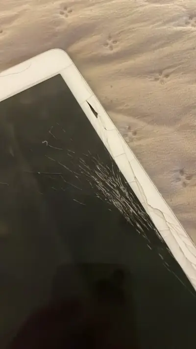 iPad pro 2da gen 256gb - miniatura 3