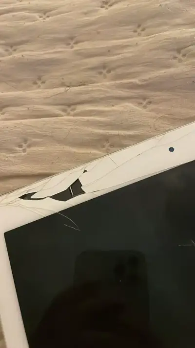 iPad pro 2da gen 256gb - miniatura 4