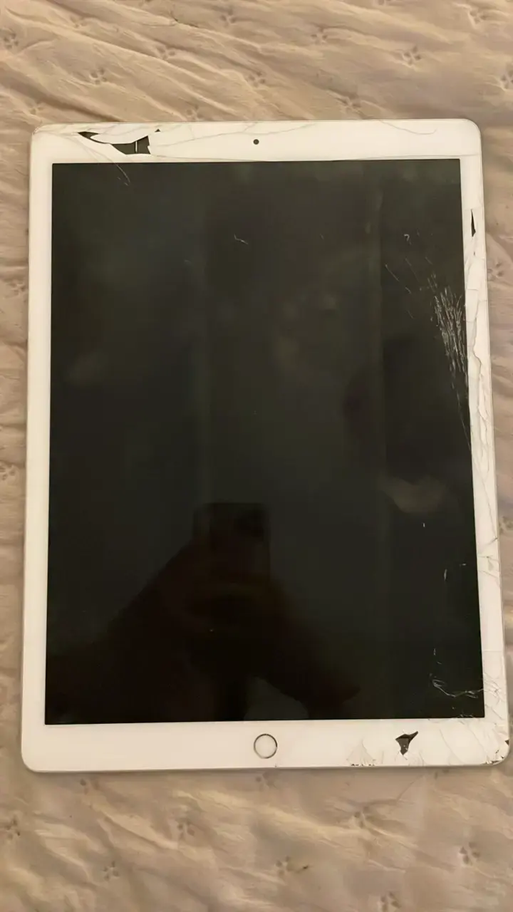 iPad pro 2da gen 256gb - 5