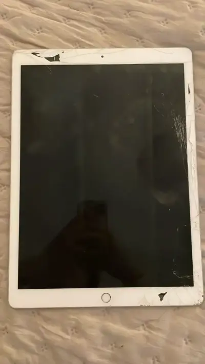 iPad pro 2da gen 256gb - miniatura 5