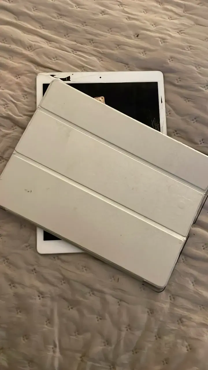 iPad pro 2da gen 256gb - 6
