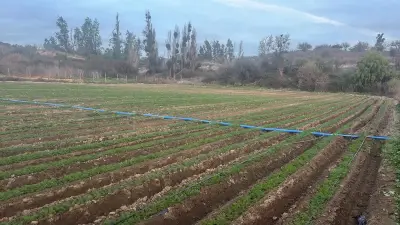 Oportunidad vendo linda parcela de 5.000 M2 - miniatura 2