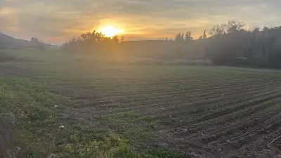 Oportunidad vendo linda parcela de 5.000 M2 - miniatura 3
