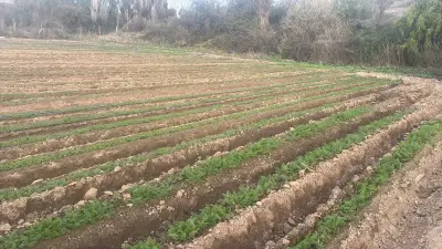 Oportunidad vendo linda parcela de 5.000 M2 - miniatura 4