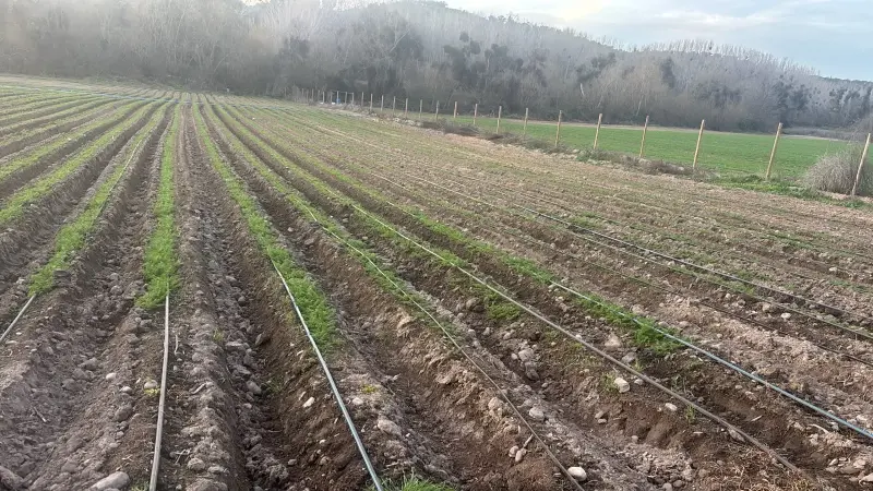 Oportunidad vendo linda parcela de 5.000 M2 - 6