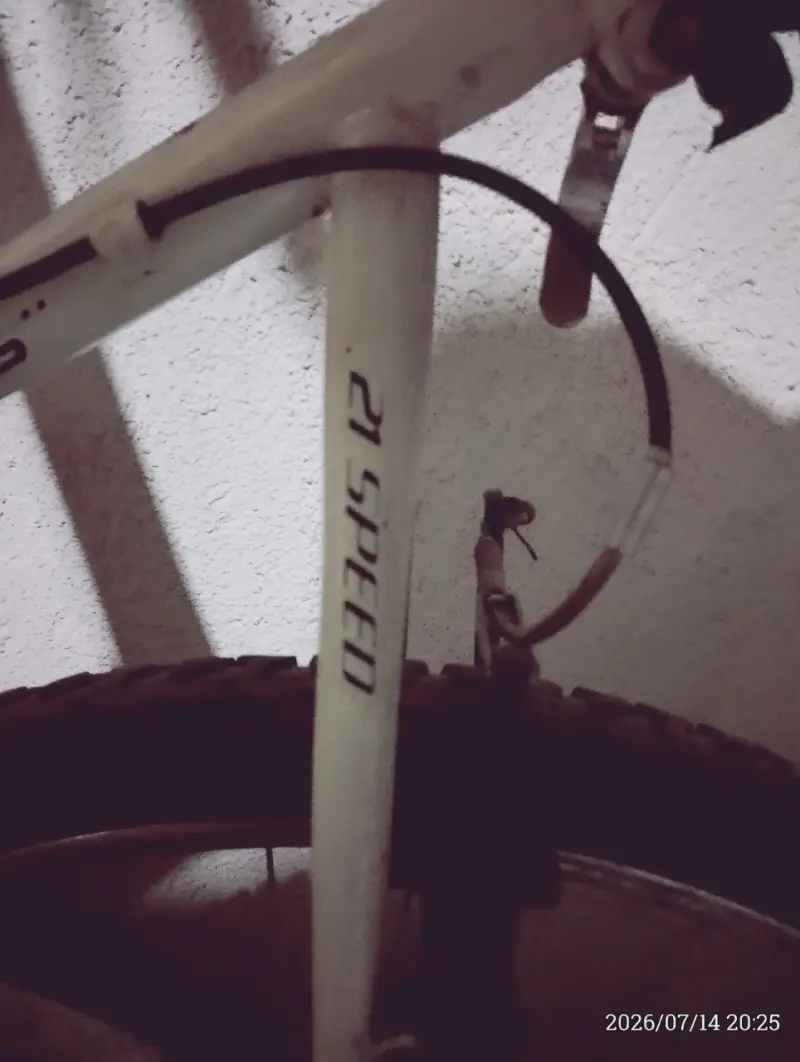 Bicicleta de montaña blanca - 3