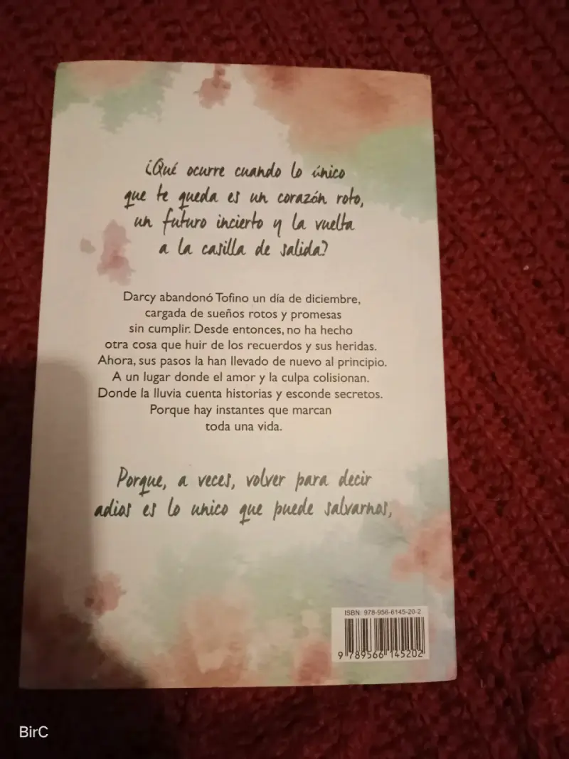 Libro 'La fragilidad de un corazón bajo la lluvia' - 3