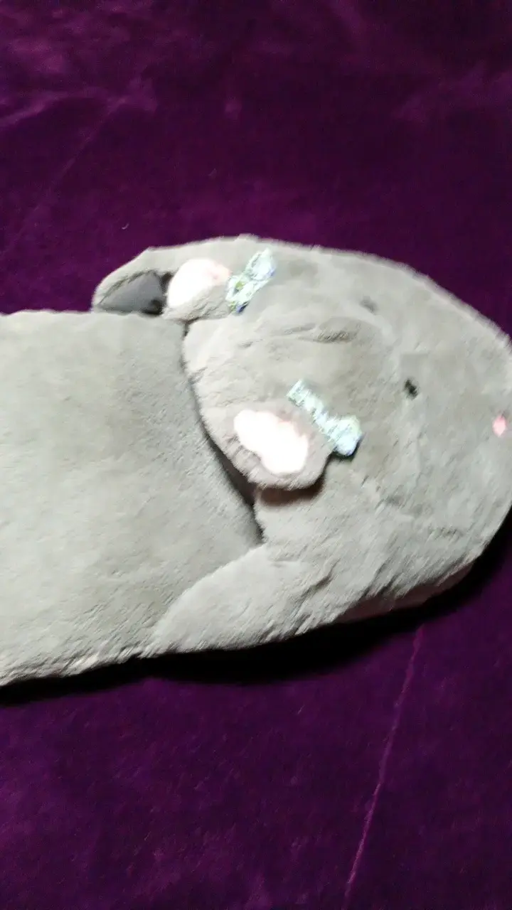 Pantuflade peluche hipopótamo gris - 2