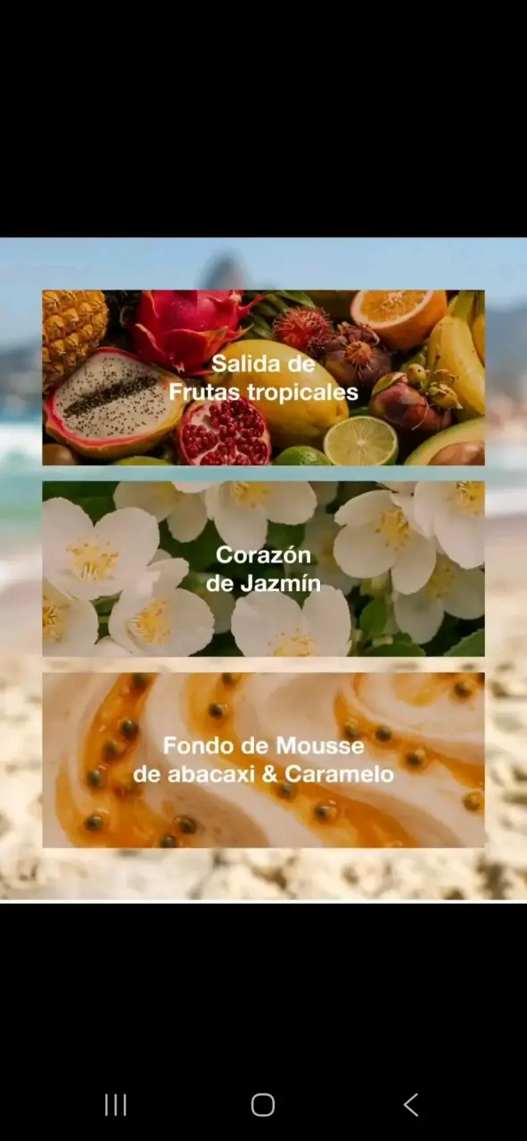 Biogreen, aromatizantes de ambientes,aromaterapia - 6