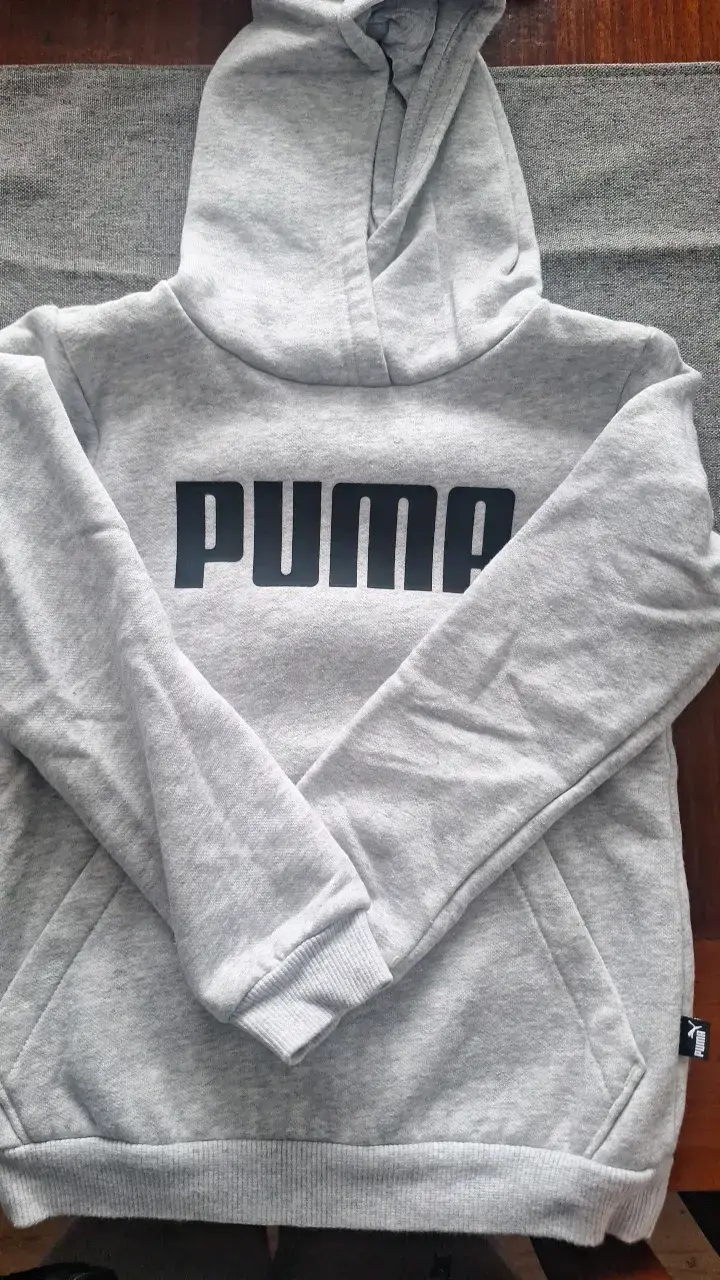 Polerón gris con capucha Puma - 1