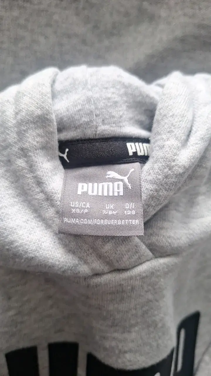 Polerón gris con capucha Puma - 2