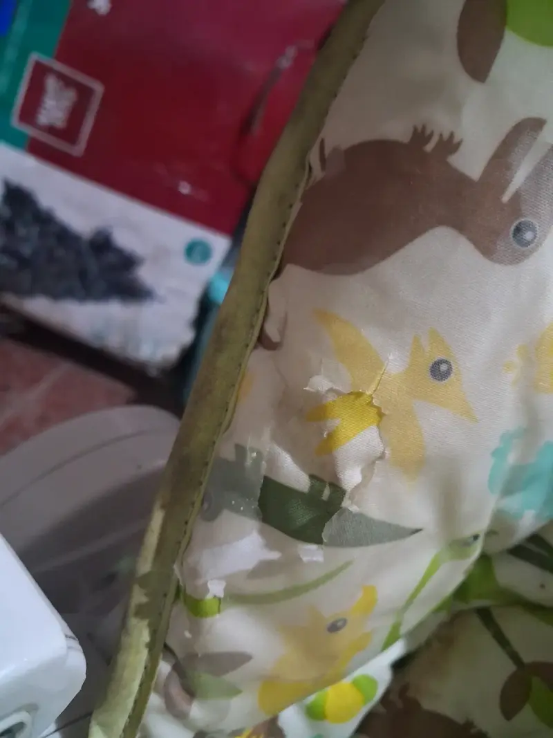Silla de comer para bebé Infanti verde - 4